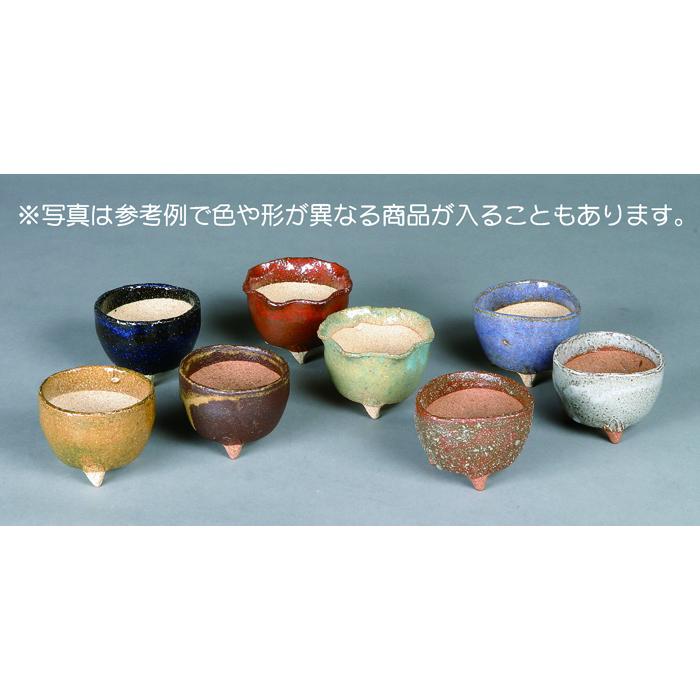 盆栽鉢 山野草鉢 信楽焼楽風鉢8点セット 小品 ミニ盆栽 野草 草物に最適 | LINEブランドカタログ