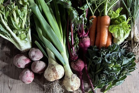 高知の旬をお届け「中里自然農園・旬のお野菜便」