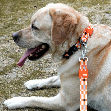 【VitalWave 元氣光波】波拉克潮酷 速穿寵物項圈牽引繩組合 (寵物頸圈 寵物牽引繩)