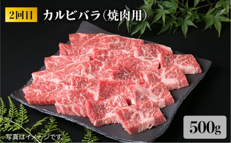 糸島黒毛和牛（博多和牛） 人気部位の定期便セット全6回（月1回） 2人前 約3kg 糸島ミートデリ工房 《糸島》[ACA110] 博多 和牛 黒毛和牛 ヒレ フィレ ヘレ 定期便 ステーキ 焼肉