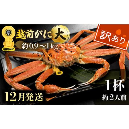 ふるさと納税 越前がに本場の越前町からお届け！越前がに浜茹で大サイズ（生で約0.9〜1kg）×1杯 .. 福井県越前町