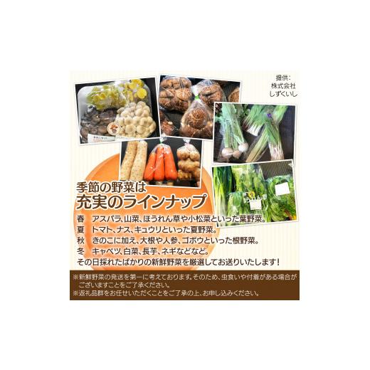 ふるさと納税 岩手県 雫石町 産地直送 季節の野菜とお米 詰め合わせ 3ヶ月 定期便 ／ 野菜 米 セット