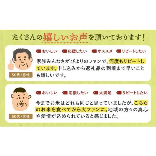 ふるさと納税 佐賀県 江北町 令和5年産 新米 さがびより 無洗米 5kg [HBL005]