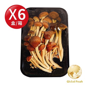 盛花園蔬果 台中石岡柳松菇100g x6盒(溫控栽培_無汙染)