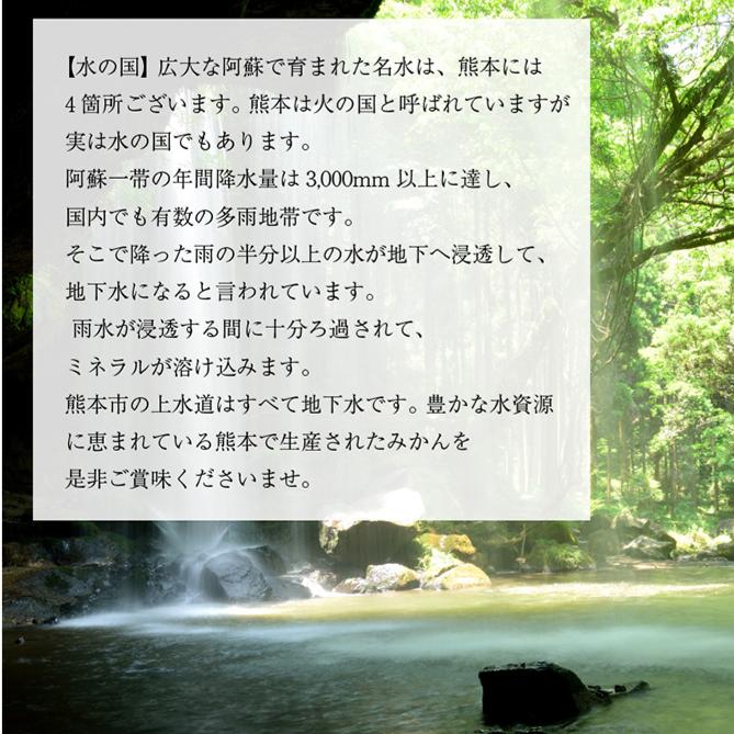 熊本県産 みかん 特A優品約10kg 箱込み 極早生みかん 早生みかん 温州みかん 金峰 今村など 熊本 熊本産 果物 旬 フルーツ 柑橘  