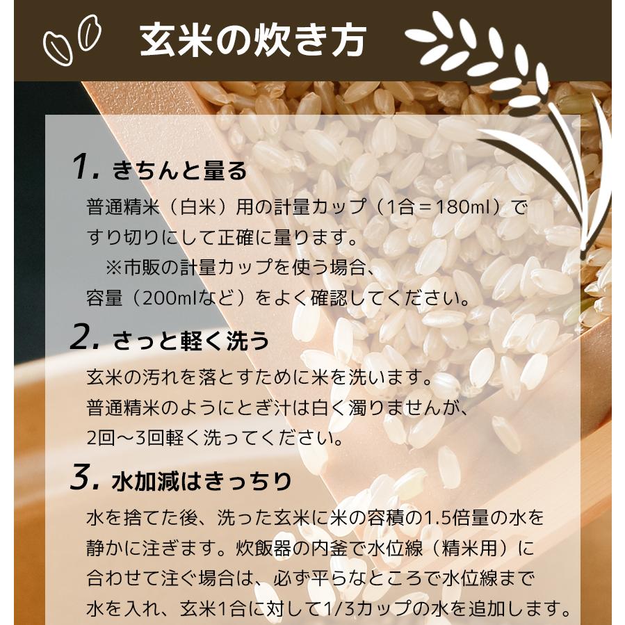 玄米　くまさんの輝き　5kg　国産　お米　熊本県産