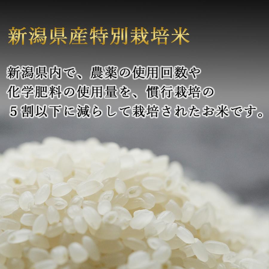 新米 コシヒカリ 10kg 新潟県産 令和5年度産 特別栽培米 新潟県産 真空パック お取り寄せ