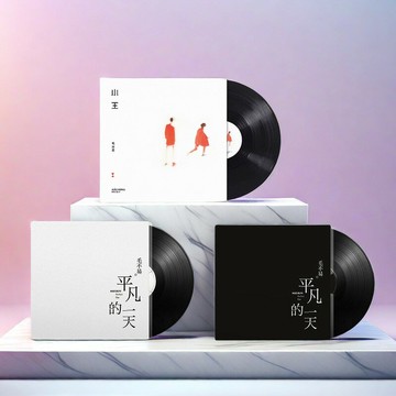正版 毛不易專輯 平凡的一天/小王 lp黑膠唱片 12寸唱盤 海報周邊