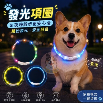🤩發光項圈🤩 寵物項圈 狗狗項圈 狗項圈 狗狗外出用品 寵物用品 狗狗發光項圈 LED項圈 反光項圈 狗狗散步外出用品
