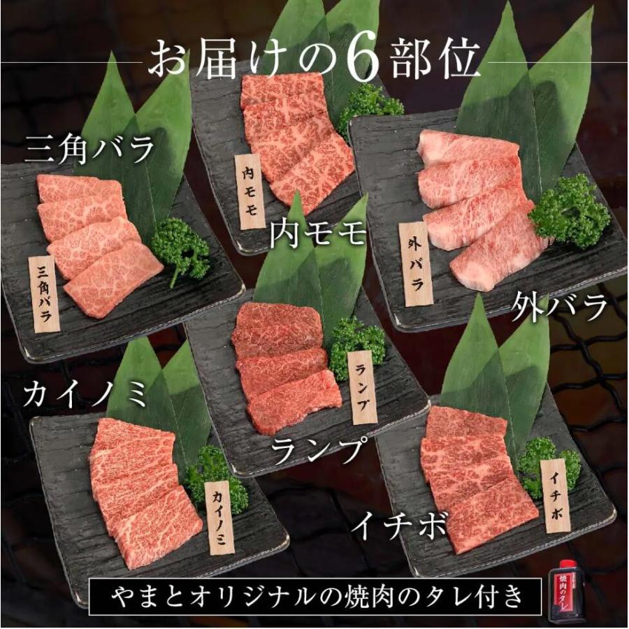 バーベキュー bbq 焼肉 食べ比べ 6種類 セット 300g 厳選 黒毛 和牛 A5限定 タレ付き 赤身 高級 カルビ ギフト 送料無料 牛肉 焼き肉