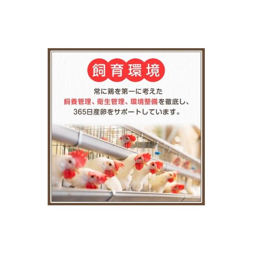 ふるさと納税 沖縄県 与那原町 与那原町産の 新鮮 な 卵 160個 赤卵 )_ 生卵 たまご 玉子 鶏卵 まとめ買い 卵かけご飯 朝ごはん 玉子焼き 人気 美味しい 【1…