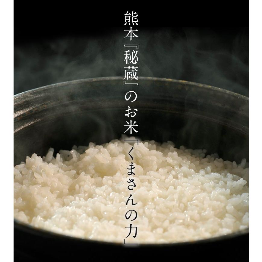 《送料無料》熊本県産　『くまさんの力』　白米　10kg(5kg×2袋）※常温○