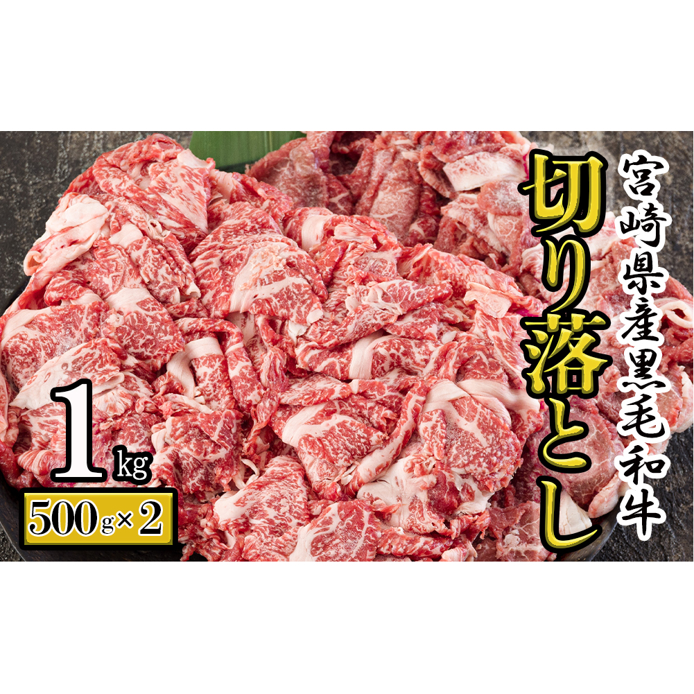 宮崎県産 黒毛和牛 切り落とし 1kg (500g×2) 小分け 牛肉 切落し モモ バラ 牛丼 肉じゃが しぐれ煮 煮込み 炒め 焼肉 普段使い 調理 おかず 料理 国産 送料無料 パック 牛 すき