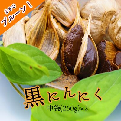 ふるさと納税 いの町 黒にんにく「土佐の隠し玉」　2袋×250g