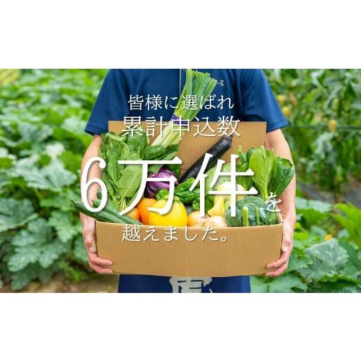 ふるさと納税 岩手県 北上市 お米と野菜だけセットA