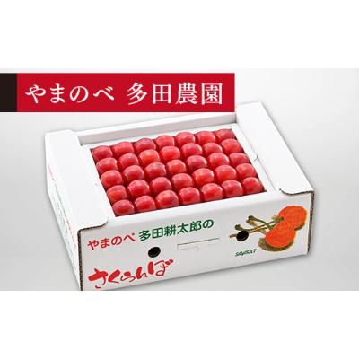 ふるさと納税 山形県 手詰 約500g