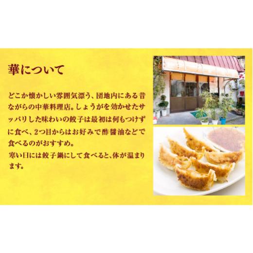 ふるさと納税 栃木県 宇都宮市 　餃子24個入り×2箱