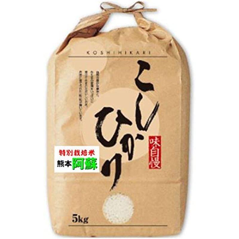 令和4年産 熊本産 特別栽培米 阿蘇 コシヒカリ 5kg 出荷日精米 5kg (５分づき（精米後約4.75kg）)