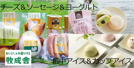 ＜牧成舎＞飛騨のアイスクリーム＆チーズ＆ヨーグルトセット[D0001]