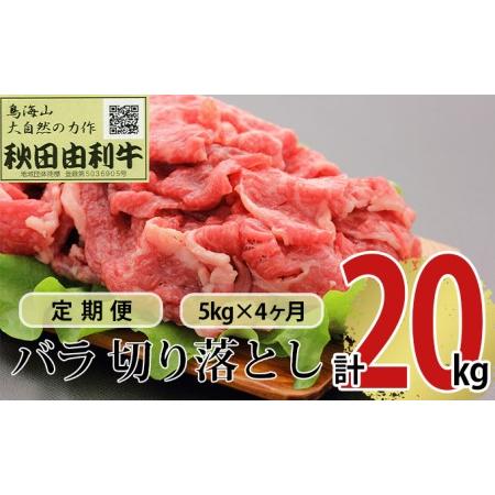 ふるさと納税 《定期便》4ヶ月連続 秋田由利牛 バラ切り落とし 5kg（1kg×5パック） 秋田県にかほ市