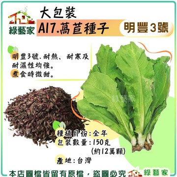 【綠藝家】【00A17】大包裝.萵苣種子150克(明豐3號)(有藥劑處理)