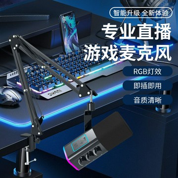 WM13懸臂支架超心形指向USB跨境直播話筒  RGB動圈游戲麥克風【Snowbelle優選】