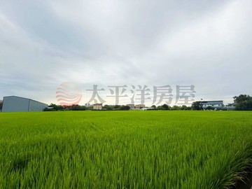 中興路旁方正面寬美農地｜桃園市中壢區內壢段