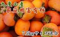 ≪柿の名産地≫九度山の富有柿約7.5kgご家庭用★2023年10月下旬頃より順次発送