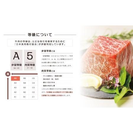 ふるさと納税 A5等級 黒毛和牛 特撰赤身ブロック 400g 牛肉 モモ 焼肉 ステーキ BBQ ビーフシチュー お肉 冷凍 カミチク 鹿児島県南さつま市