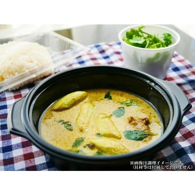 タイ風グリーンカレー　＆　スリランカ風チキンカレー　会員価格500円　コンビセット　2人前　レトルト　お取り寄せ　メール便商品　お試しグルメギフト