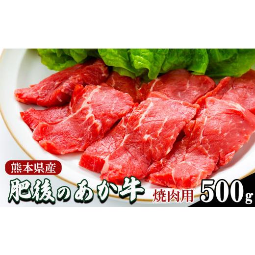 ふるさと納税 熊本県 玉名市 肥後の あか牛 焼肉用 500g