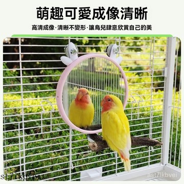 🔥鸚鵡專用🔥鸚鵡鏡子 鳥鏡子 玩具鏡子 鸚鵡玩具 花椒木鏡子 掛籠鏡 鏡子站架 鸚鵡照鏡 鸚鵡梳妝鏡解悶自嗨籠內掛鏡萌趣