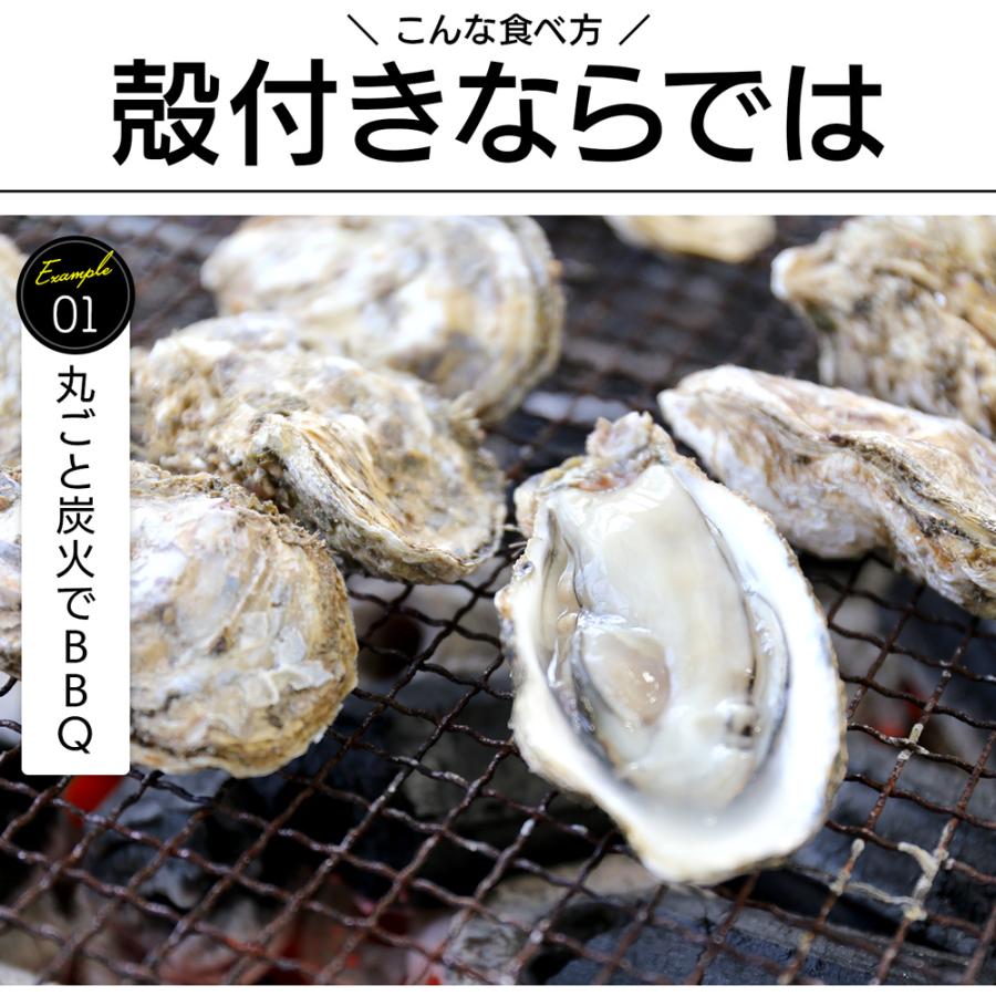 生食OK サイズ選べる 殻付き 牡蠣 宮城県産 1kg 13〜20個入 身入り抜群 冷凍 かき カキ お試し 産地直送