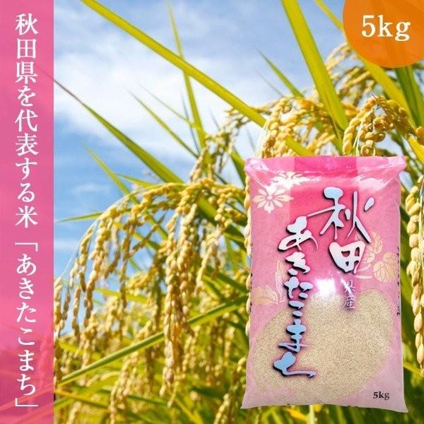 秋田県産あきたこまち 5kg (5kg×1袋 令和5年産 お米 精米