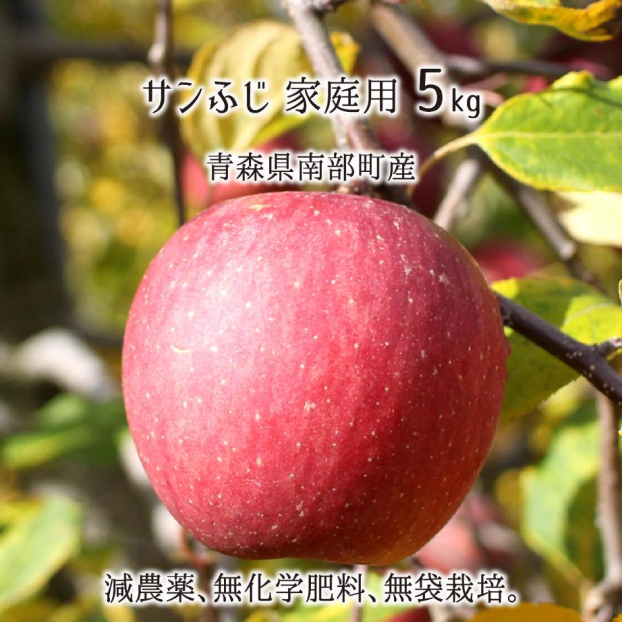 サンふじ 訳あり 5kg 減農薬 無化学肥料 青森県南部町産 りんご 家庭用 13〜20玉 11月下旬〜3月下旬 送料無料