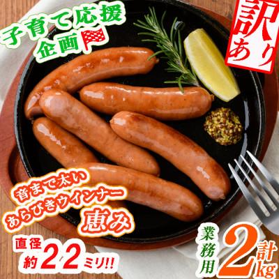 ふるさと納税 志布志市 パリッとジューシー!恵みウインナー 計2kg(1kg×2袋)　a0-151