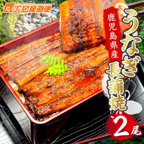 お歳暮 御歳暮 2023 国産 うなぎ 蒲焼き 約140g×2尾セット 鹿児島県産 送料無料 ギフト