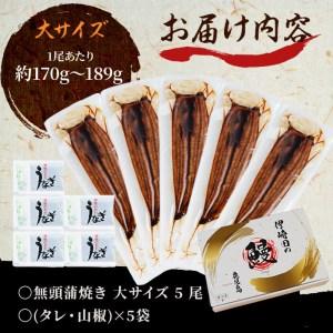 ふるさと納税 鹿児島県産 伊崎田のうなぎ蒲焼 大＜170g以上＞× 5尾(計850g以上) c2-001 鹿児島県志布志市