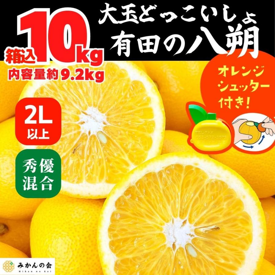 八朔 (はっさく) 大玉 どっこいしょ 箱込 10kg (内容量約 9.2kg 秀品 優品 混合 2Lサイズ以上 和歌山県産  産地直送