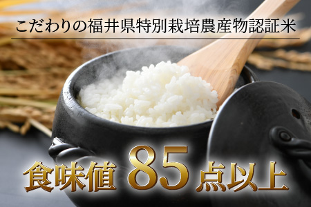 《定期便3回》コシヒカリ 精米 5kg （計15kg）特別栽培米 農薬不使用 化学肥料不使用 ／ 高品質 鮮度抜群 福井県産 ブランド米 白米 あわら