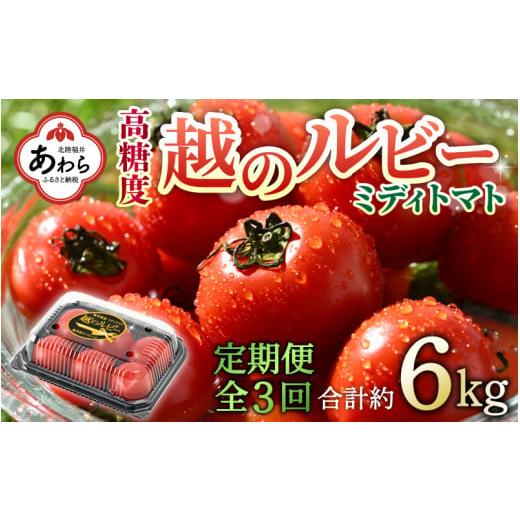 ふるさと納税 福井県 あわら市 《定期便3回》高糖度 ミディトマト 越のルビー 約2kg 10パック（計約6kg）／ 福井県産 ブランドトマト 中玉 農家直…