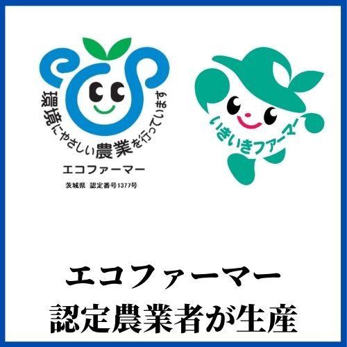 令和5年産　お米　ミルキークイーン　白米　5kg　しづくのしずく