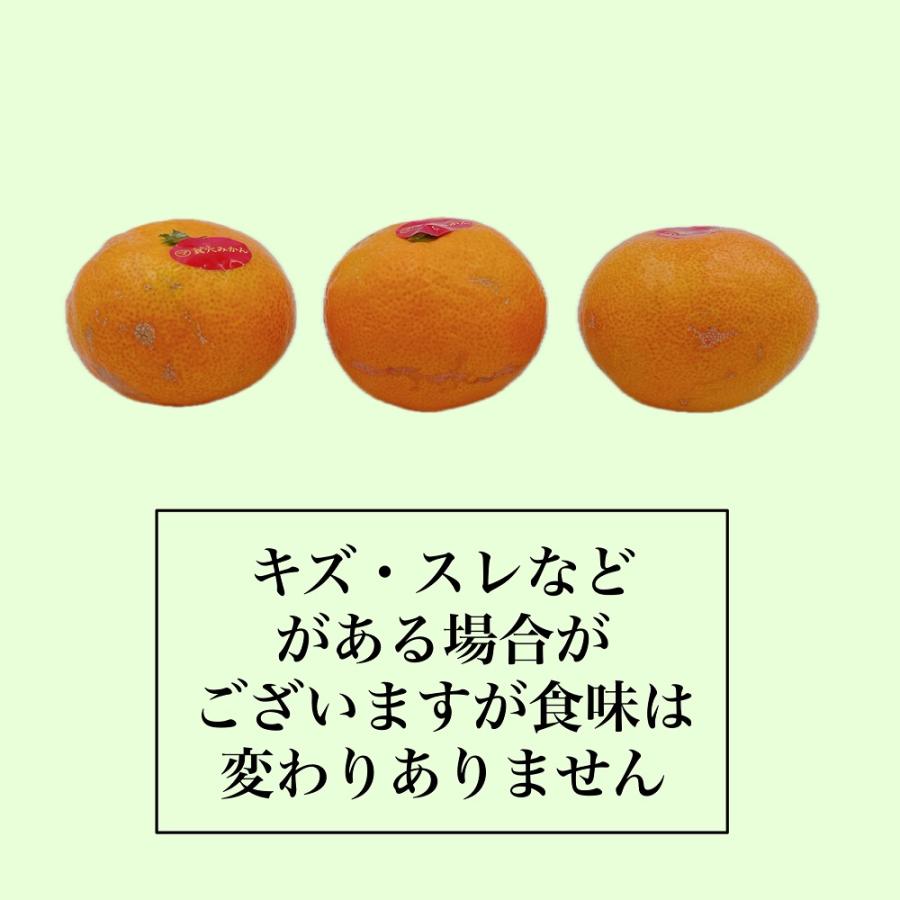 真穴みかん　愛媛県産（JAにしうわ） 2Ｓサイズ　3kg　ご家庭用