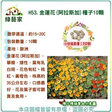 【綠藝家】H53.金蓮花(阿拉斯加)種子10顆