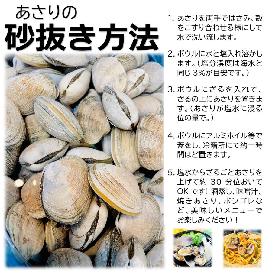 活あさり 1kg 北海道産 大粒 1個20〜30g 大粒あさり 国産 あさり 天然あさり アサリ  浅利 活貝