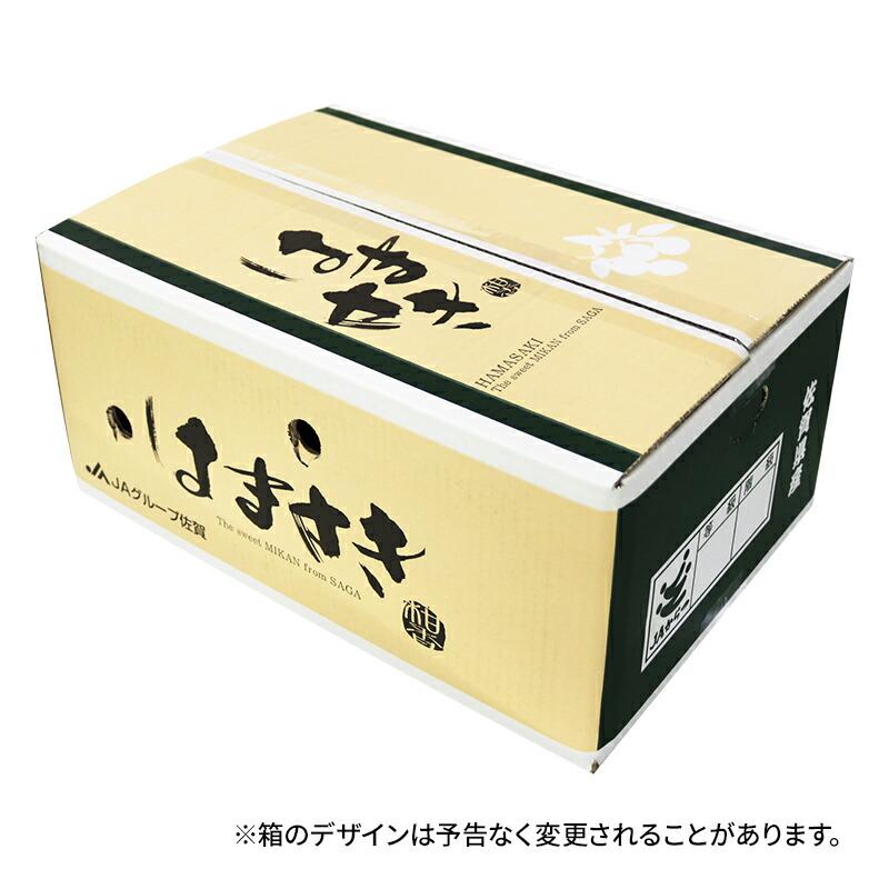  フルーツ 佐賀県産 はまさき 約5kg (L・Mサイズ 24〜34玉) JAからつ 果物 柑橘 みかん 青果 麗紅 ギフト 高級 送料無料 CG057