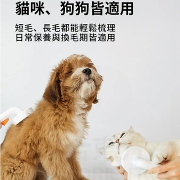 【現貨 免運】PETKIT佩奇｜寵物一鍵除毛針梳 寵物美容 貓狗 梳子 除毛梳｜ RBB