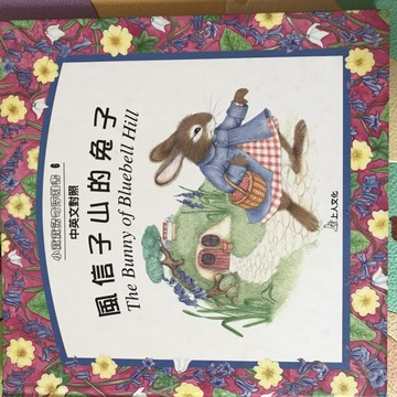 風信子山的兔子[二手書_普通]