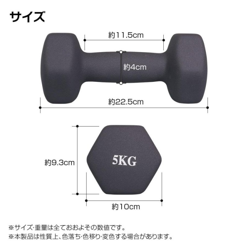 ダンベル 2個セット 鉄アレイ 5kg 筋トレ 筋力 トレーニング