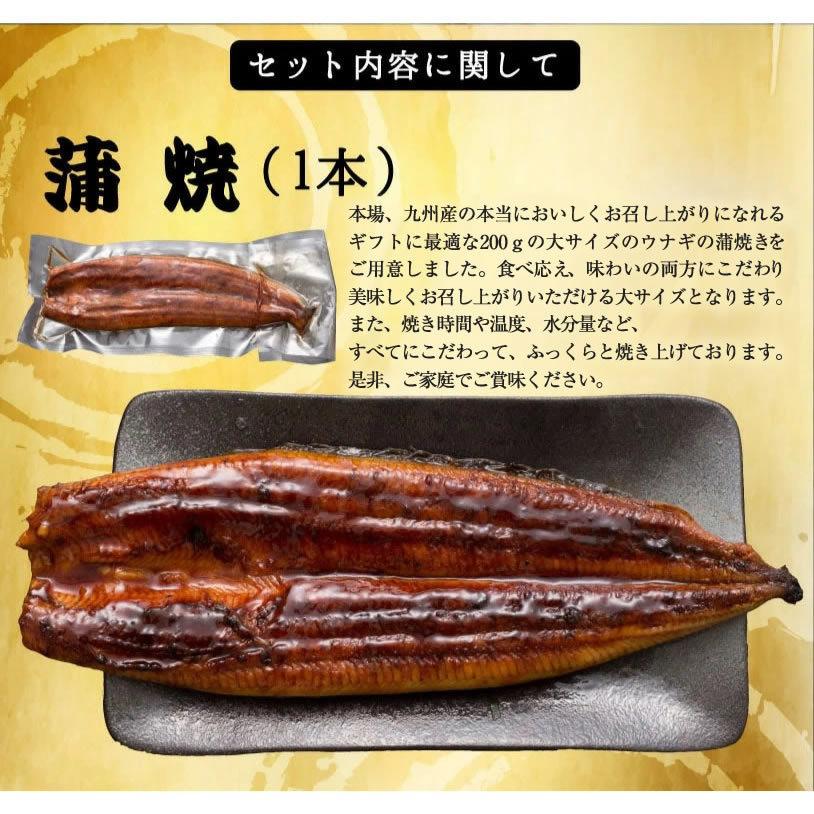 うなぎ 鰻 ウナギ 国産 うなぎ蒲焼 大サイズ蒲焼1尾 解凍前約200g(解凍後約185g)